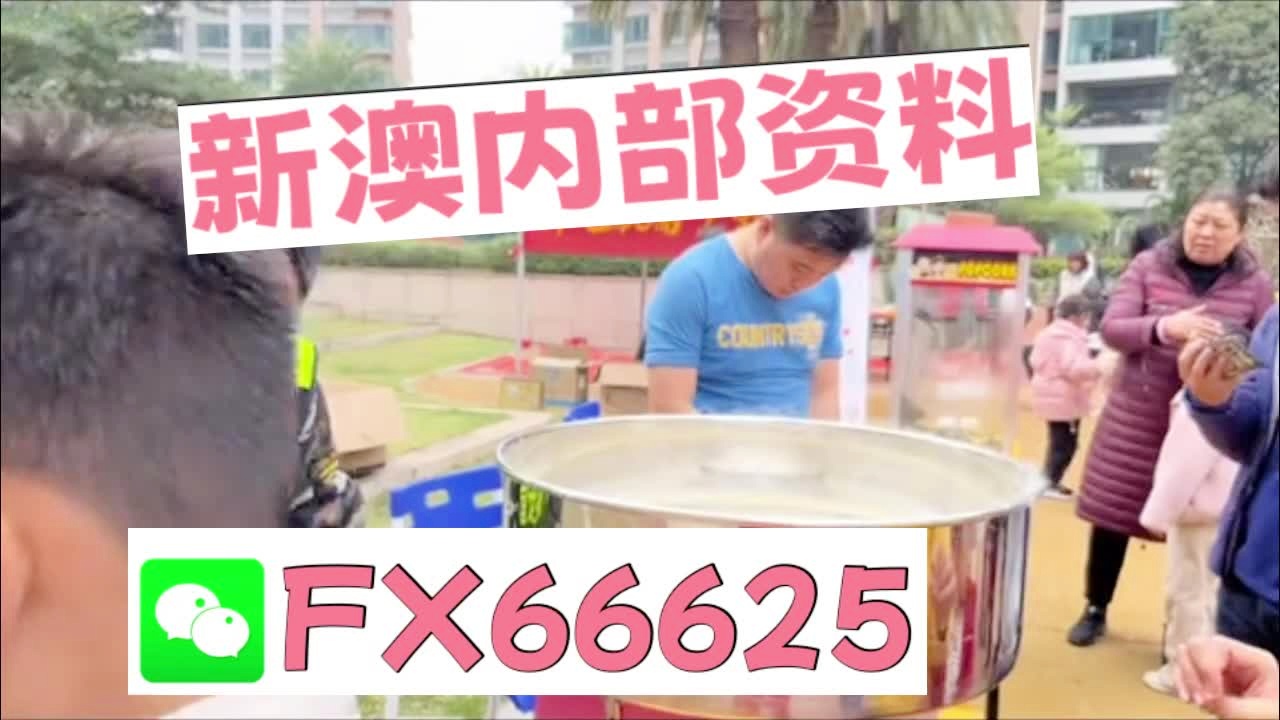 新澳天天彩資料大全最新版本陽(yáng)肖，探索與策略，新澳天天彩資料大全最新版本陽(yáng)肖，探索與策略揭秘