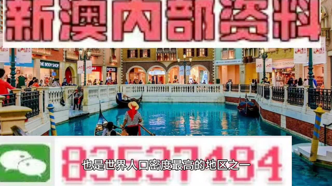 澳門王中王正版游戲，探索未來的新篇章（2025年展望），澳門王中王正版游戲，探索未來新篇章，展望2025年發(fā)展