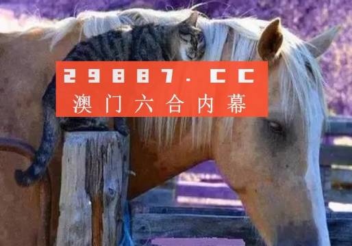 澳門一肖一碼一待一中四不像，探索與解析，澳門一肖一碼一待一中四不像，深度解析與探索