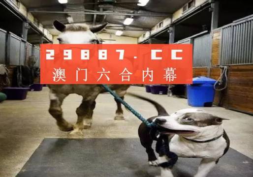 澳門一肖一碼一必中一肖，同舟前進的奧秘與策略，澳門一肖一碼必中策略與前進奧秘，同舟共濟的揭秘與策略