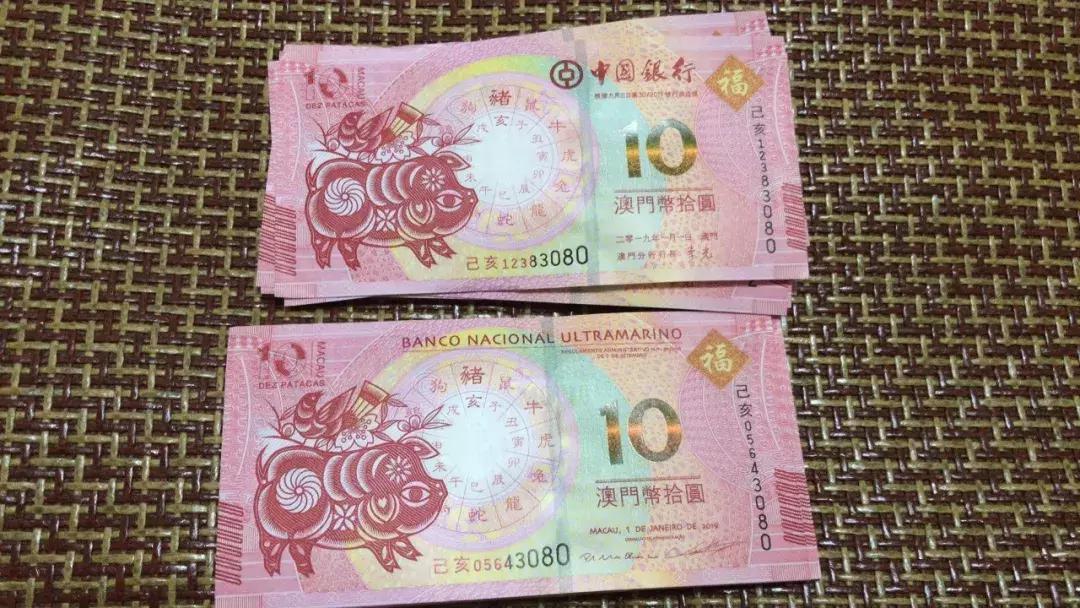 新澳門生肖走勢圖，深度解析與預(yù)測，澳門生肖走勢圖深度解析及預(yù)測報告