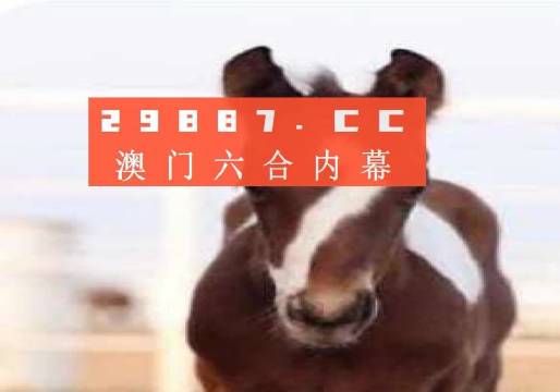 澳門一肖一碼一待一中資料，深度解析與探索，澳門一肖一碼深度解析與探索揭秘資料