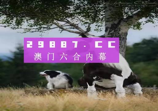 澳門天天空彩官網(wǎng)資料，探索彩票世界的門戶，澳門天天空彩官網(wǎng)資料，彩票世界探索門戶