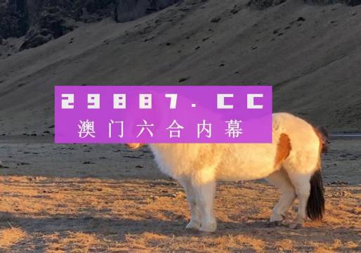 澳門天天彩資料正版免費特色快8，探索彩票世界的魅力與機遇，澳門天天彩正版特色快8，彩票世界的魅力與機遇探索