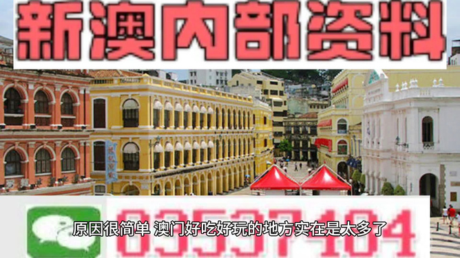澳門精準(zhǔn)資料大全免費，探索與解析，澳門精準(zhǔn)資料大全免費解析探索