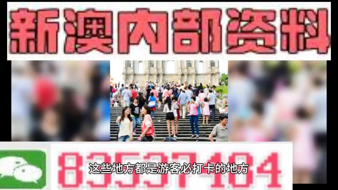 新澳天天開獎資料大全旅游團——探索澳門的魅力之旅，澳門魅力探索之旅，新澳天天開獎資料大全旅游團