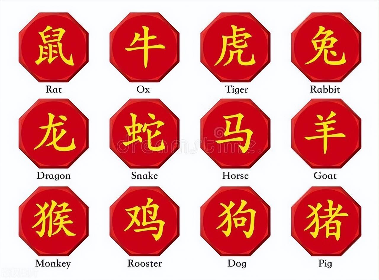 新澳特碼，羊?；⒏鲾?shù)10——揭秘背后的數(shù)字奧秘，揭秘新澳特碼數(shù)字奧秘，羊?；⒏鲾?shù)背后的秘密