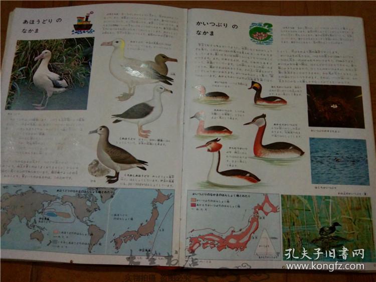 7777788888跑狗圖正版今天