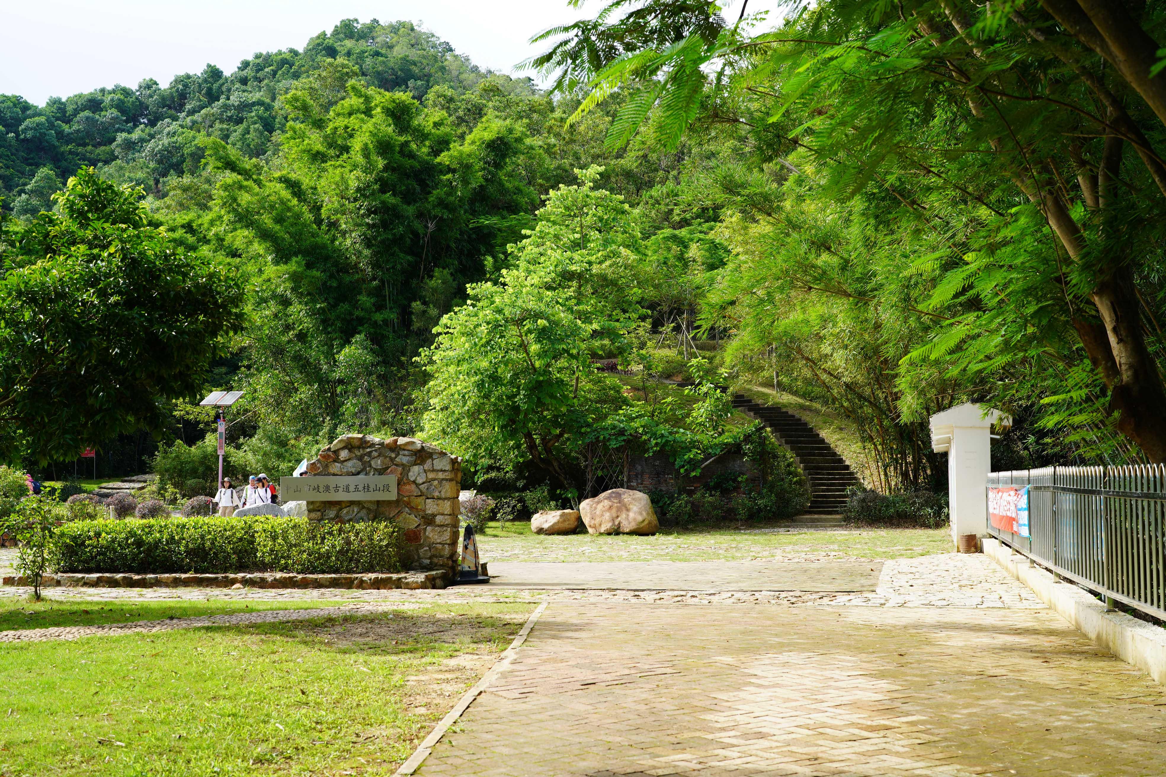 新澳門彩生肖走勢圖，探索與解讀彩票背后的秘密，探索解讀新澳門彩生肖走勢圖，彩票背后的秘密揭秘