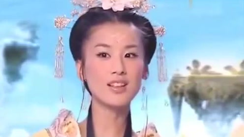 曾道道人資料免費大全，深度探索與解析，曾道道人資料深度解析與免費大全探索
