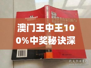 新澳門王中王期期中，探索與解析，新澳門王中王期期中，深度探索與解析