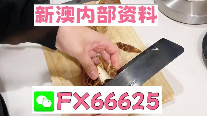澳門(mén)九點(diǎn)半9點(diǎn)半網(wǎng)站——探索其魅力與優(yōu)勢(shì)，澳門(mén)九點(diǎn)半網(wǎng)站，魅力與優(yōu)勢(shì)探索