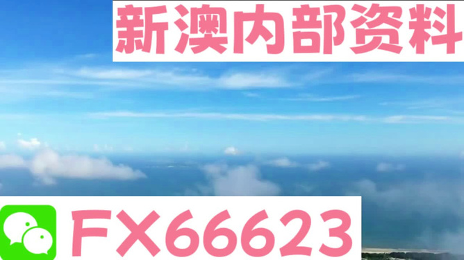 新澳106期資料詳解與SEO優(yōu)化策略，新澳106期資料詳解與SEO策略優(yōu)化指南