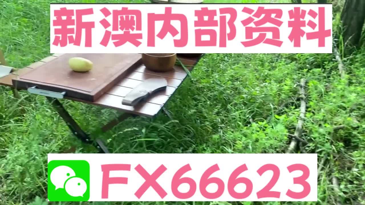 新奧特碼走勢(shì)圖解析與預(yù)測(cè)，新奧特碼走勢(shì)圖解析與預(yù)測(cè)，未來(lái)趨勢(shì)探討