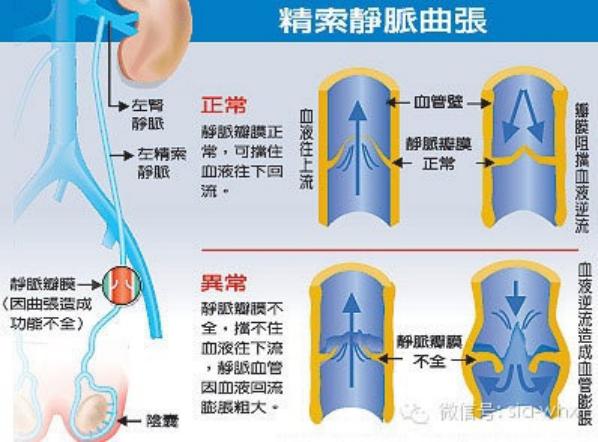深度解析 第3頁