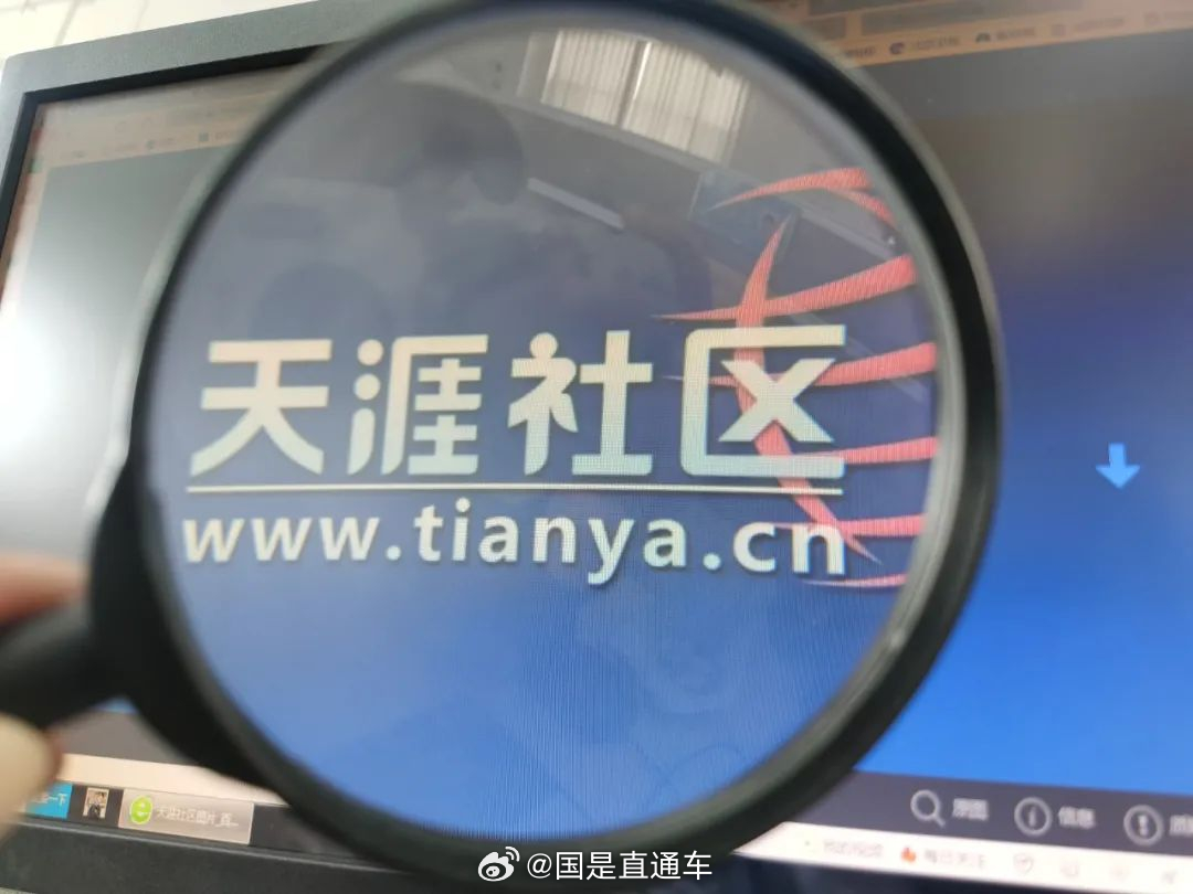 天涯國際觀察，全球視野下的深度分析與洞察，全球深度洞察，天涯國際觀察分析