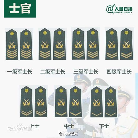 全球各國軍士長軍銜對照表及其重要性，全球各國軍士長軍銜對照表，揭示其重要性