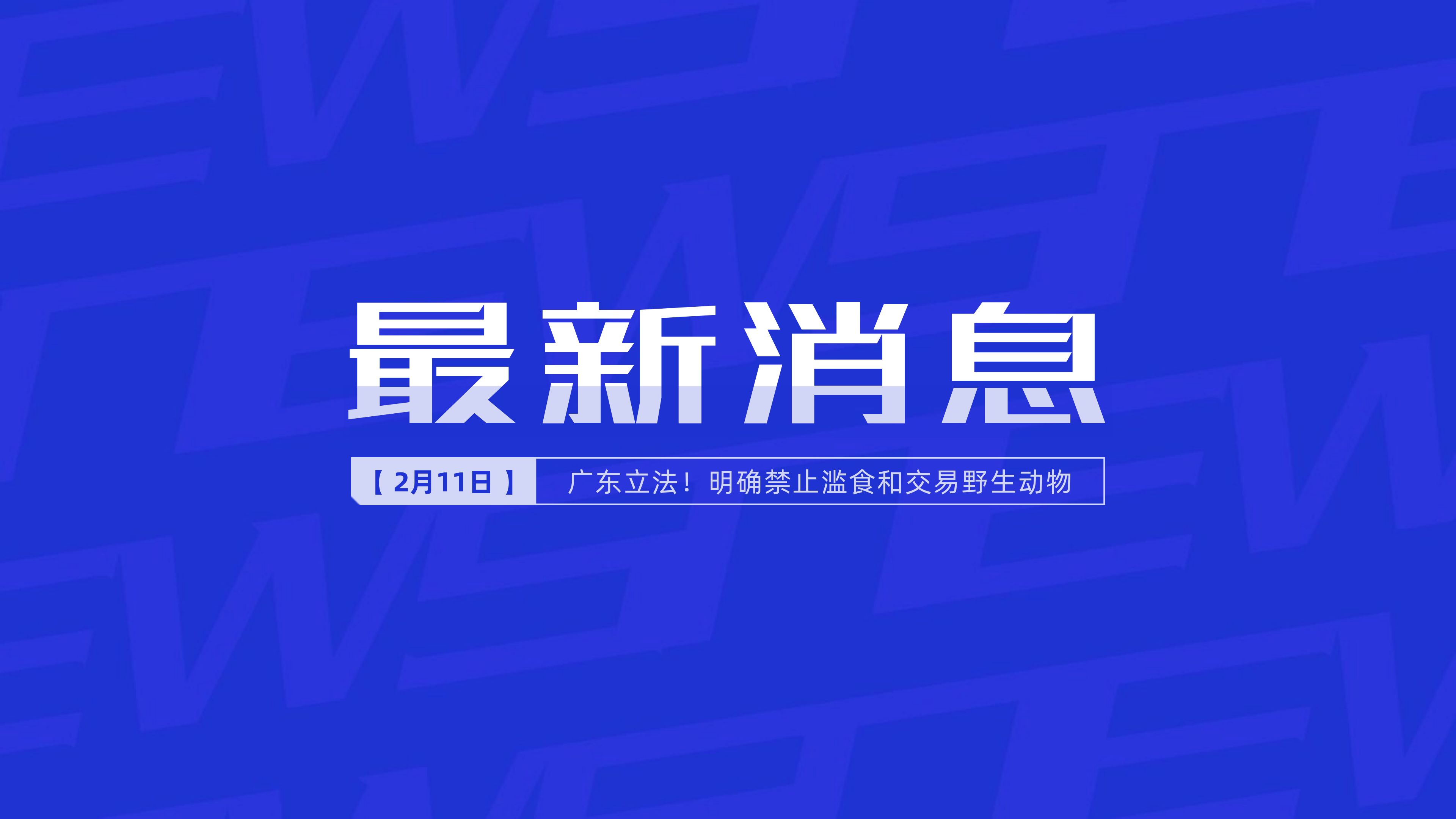 新聞最新新聞，掌握時(shí)事熱點(diǎn)，洞悉世界動(dòng)態(tài)，時(shí)事熱點(diǎn)速遞，掌握全球最新動(dòng)態(tài)新聞