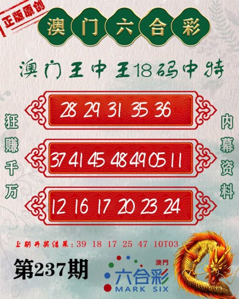新澳門王中王期期中，探索與解析，新澳門王中王期期中，深度探索與解析