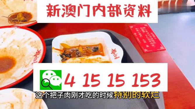 澳門王中王六碼新澳門，探索與解析，澳門王中王六碼新澳門，深度探索與解析