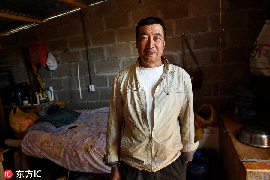 博科圣地組織，深度解析與理解，博科圣地組織深度解析與探究