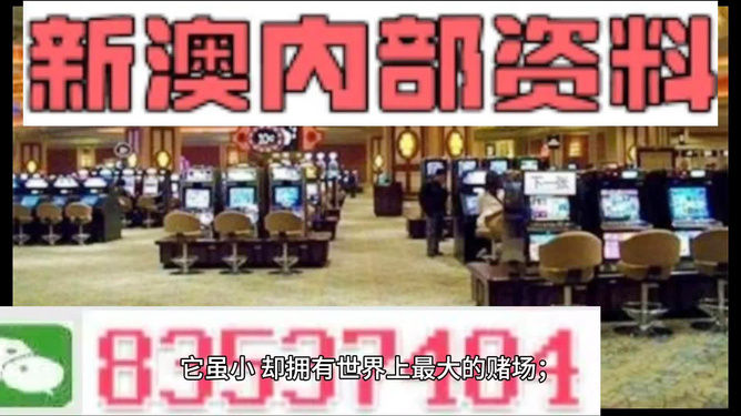 新澳門最精準——探索澳門的精準之旅，澳門精準之旅，探索新澳門的奧秘