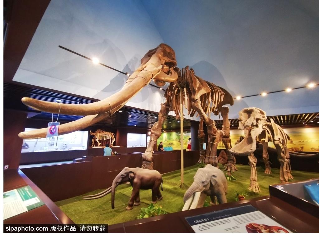 北京必去的十大博物館——探尋千年文化的精華之旅，北京必游十大博物館，千年文化精華之旅探尋記