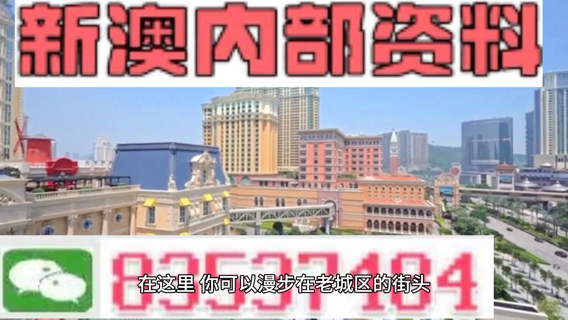 新澳門期期準(zhǔn)精準(zhǔn)，探索澳門的未來與SEO策略，澳門未來展望與SEO策略探索，精準(zhǔn)瞄準(zhǔn)新機(jī)遇