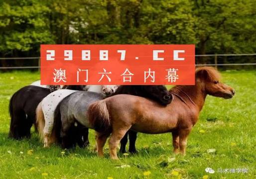 獨特魅力與背后秘密