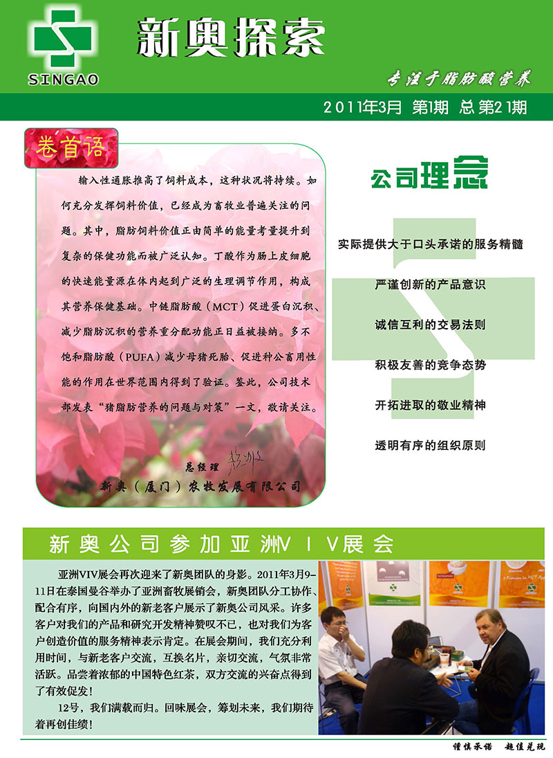 2025新澳正版資料精準(zhǔn)解析與預(yù)測，2025新澳正版資料精準(zhǔn)解析與趨勢預(yù)測