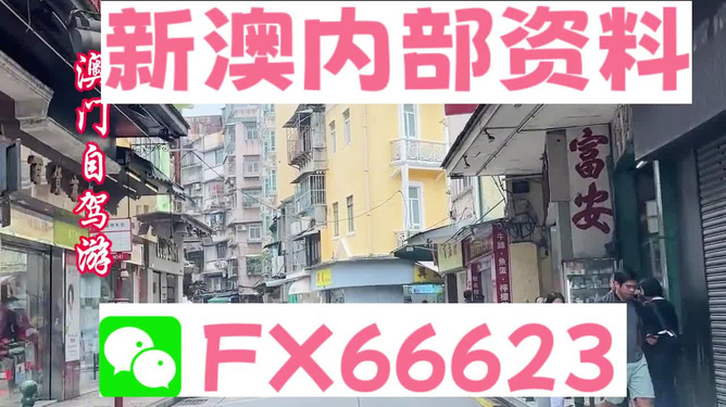 新澳精準(zhǔn)資料免費(fèi)提供，探索與解析，新澳精準(zhǔn)資料解析與探索，免費(fèi)提供的深度解讀