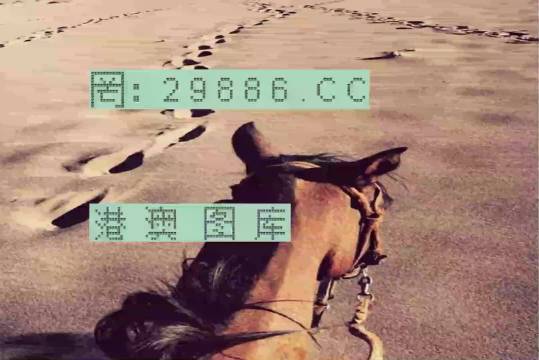 香港特馬資料王中王24期，深度解析與探索，香港特馬資料王中王深度解析與探索，第24期探索之旅