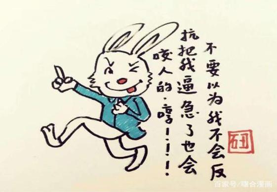 一肖不中賠多少倍，深度解析與策略建議，一肖不中賠倍深度解析及策略建議