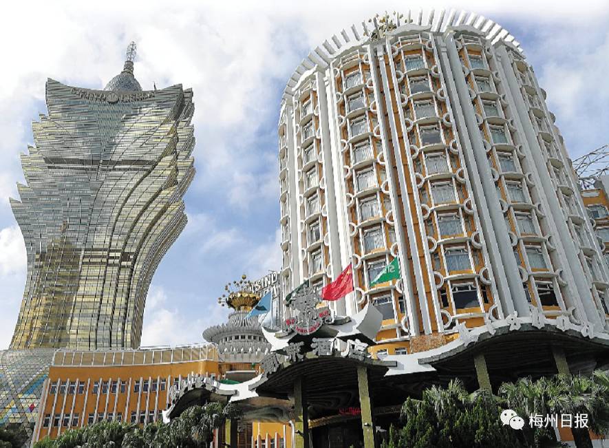 新澳門最精準——探索澳門的精準旅游體驗，澳門精準旅游探索，深度體驗澳門的獨特魅力