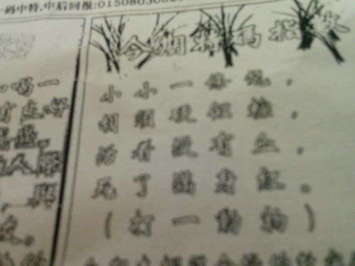 劉伯溫特一肖王中王，傳奇人物與生肖之王的神秘結(jié)合，劉伯溫生肖傳奇，傳奇人物與生肖之王的神秘交融