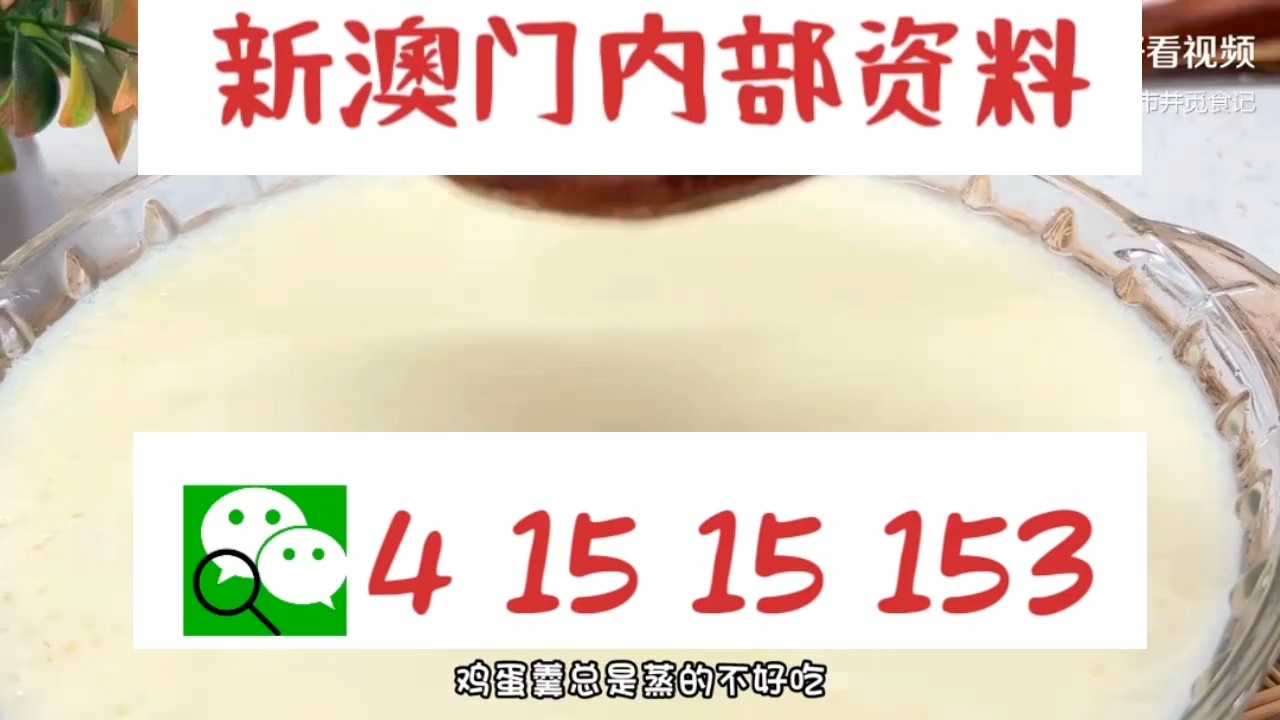 最快新澳門開獎直播，實時掌握開獎信息，體驗極速互動，新澳門實時開獎直播，極速掌握開獎信息，互動體驗盡在指尖