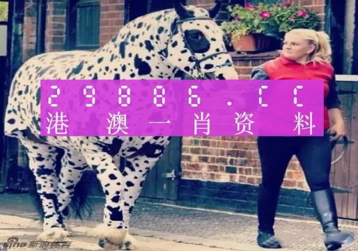 香港網(wǎng)址王中王一肖中特，探索與解析，香港網(wǎng)址王中王一肖中特，深度探索與解析