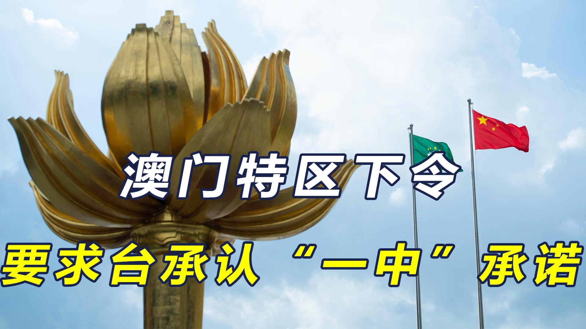 新澳門一碼一肖一特一中準(zhǔn)選今晚之秘與博彩文化深度解析，澳門博彩文化深度解析，今晚一碼一肖一特一中準(zhǔn)選的秘密