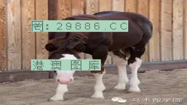 揭秘446999一肖中特馬之秘密，掌握中獎(jiǎng)玄機(jī)！，揭秘特馬中獎(jiǎng)玄機(jī)，446999一肖中的秘密大揭秘！