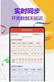 揭秘周天師平特一肖與王中王的神秘關(guān)聯(lián)，周天師平特一肖與王中王的神秘紐帶揭秘