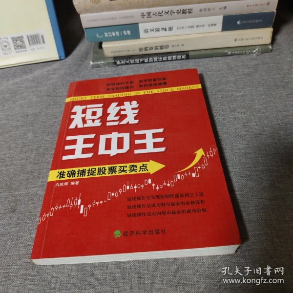 王中王平特一肖中的奧秘與探索，王中王平特一肖的奧秘與探索之旅