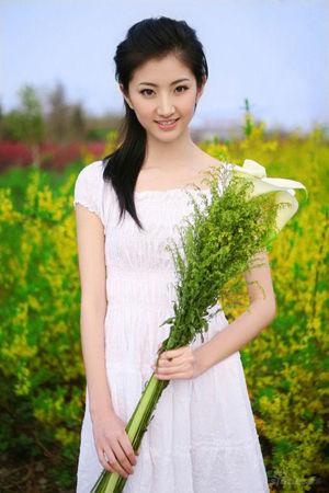 新澳門生肖走勢圖精準(zhǔn)版，解讀與SEO策略，新澳門生肖走勢圖精準(zhǔn)解讀與SEO策略揭秘