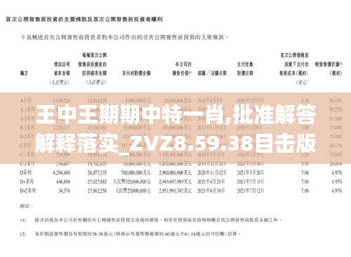 王中王一肖期期中，揭秘背后的秘密與策略，揭秘王中王一肖期期中的秘密策略與成功之道