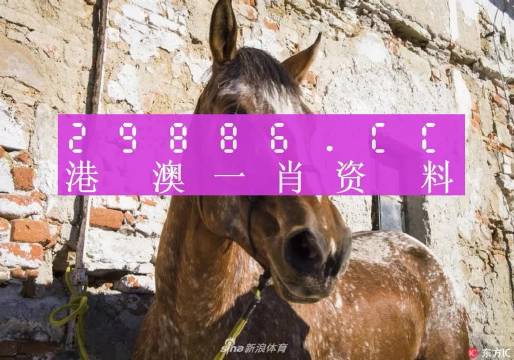 王中王資料一門肖中，深度解析與探索，王中王資料一門肖詳解，深度解析與探索