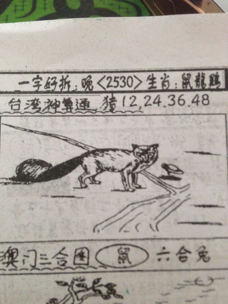 揭秘生肖奧秘，看圖猜一生肖劉伯溫的傳奇故事，揭秘生肖奧秘，劉伯溫傳奇故事中的生肖之謎探索