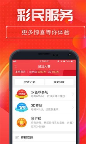 王中王一肖二碼中特，揭秘彩票背后的秘密與策略，揭秘彩票背后的秘密與策略，王中王一肖二碼中特探討