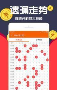 王中王一肖十，深度解析與SEO優(yōu)化策略，王中王一肖十深度解析與SEO優(yōu)化策略探討