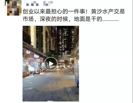 好料盡在王中王——揭秘生肖運勢的獨特魅力，揭秘生肖運勢獨特魅力，王中王好料大解密