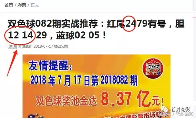 王中王082期指一生肖——探尋生肖魅力，洞悉運勢奧秘，探尋生肖魅力，揭秘運勢奧秘——王中王生肖運勢解析 082期