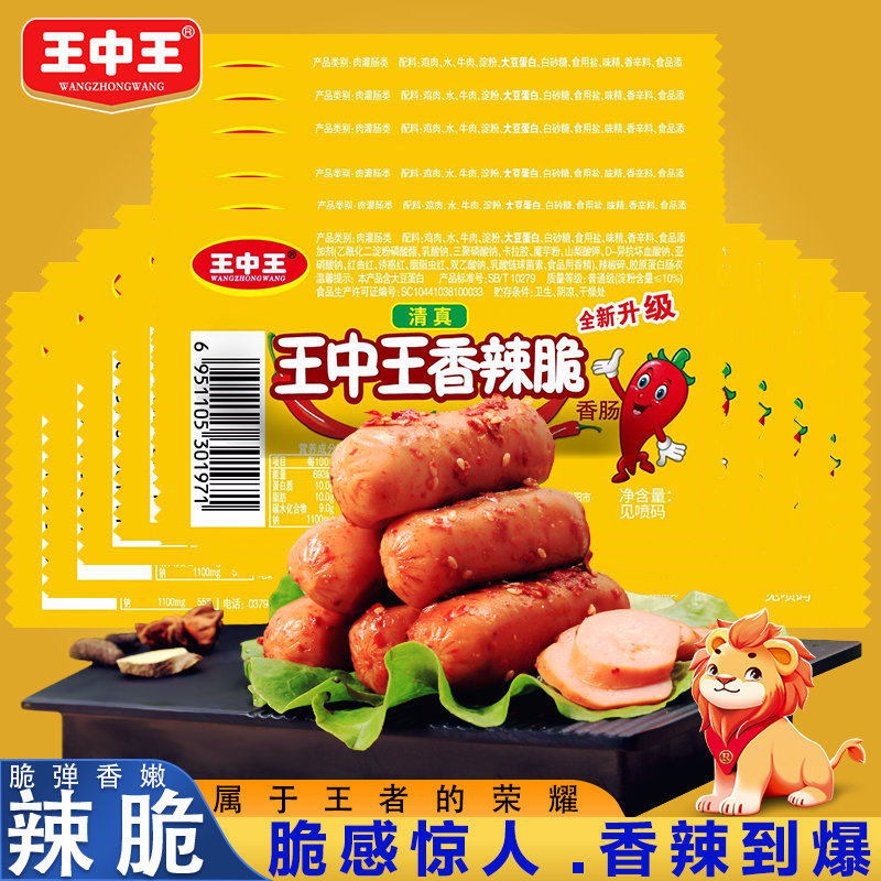 王中王資料一y肖中，深度解析與探索，王中王資料一y肖中深度解析與探索揭秘